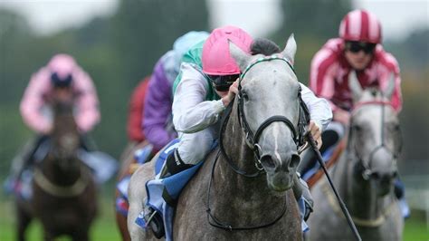 Saturday tips: Field Of Gold fancied for Solario success.